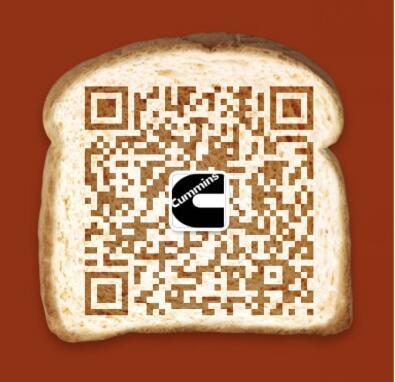 西安重康柴油機(jī)配件有限公司